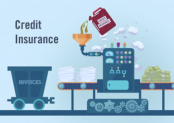 Secure your cash with Credit Insurance
